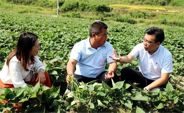 7000 億里程碑背后:中國人壽錨定國之大者,書寫金融為民時代答卷