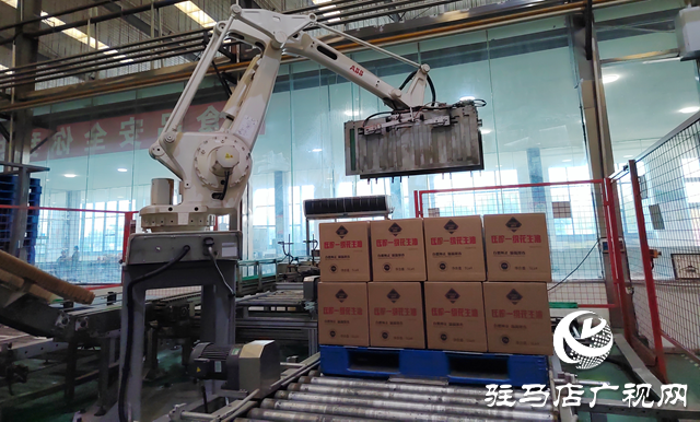 駐馬店：“三頭三尾”引領產業融合 農業產業化邁向高質量發展