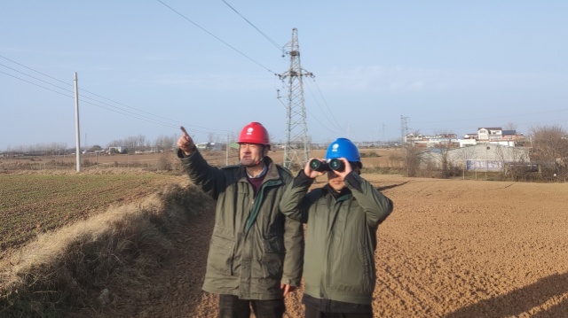 國網正陽縣供電公司：精益化巡視 護航電網安全運行