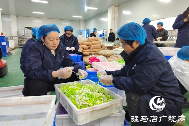 國家級盛會搭臺賦能 杞樂生物科技借勢騰飛