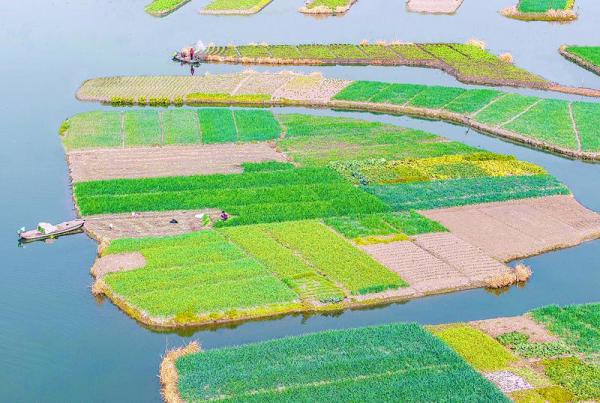 農(nóng)事冬日忙