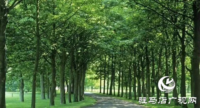 驛城區老河鄉被評為“美麗中國·深呼吸小鎮”