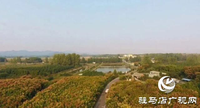 驛城區老河鄉被評為“美麗中國·深呼吸小鎮”