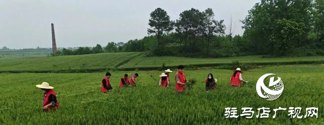 驛城區老河鄉被評為“美麗中國·深呼吸小鎮”