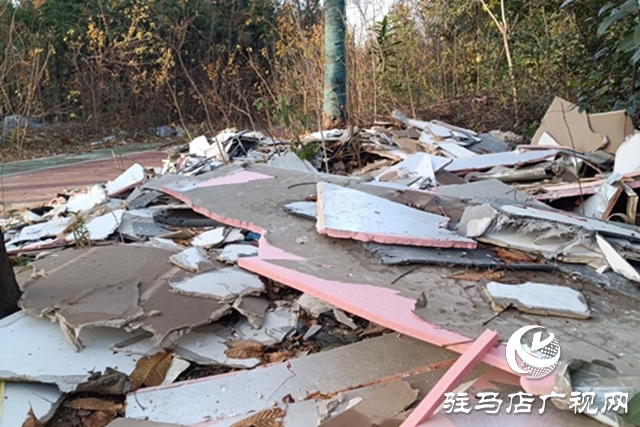 綠地&ldquo;失管&rdquo;變&ldquo;失顏&rdquo; 驛城大道沿線綠化帶衛(wèi)生堪憂