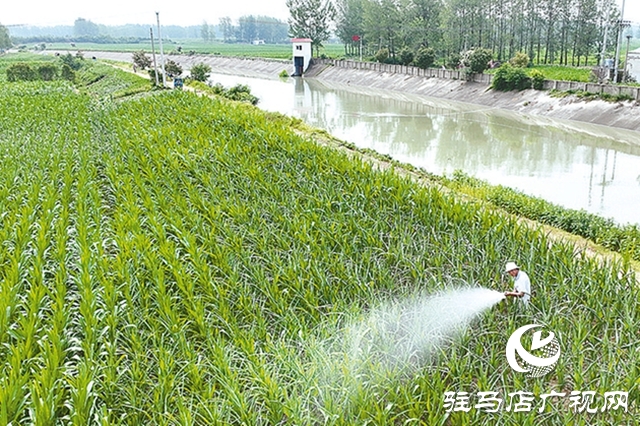 駐馬店：筑牢水安全屏障 繪就生態新畫卷