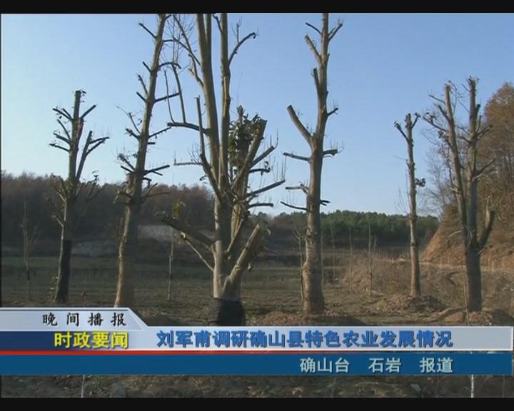 劉軍甫調研確山縣特色農業發展情況