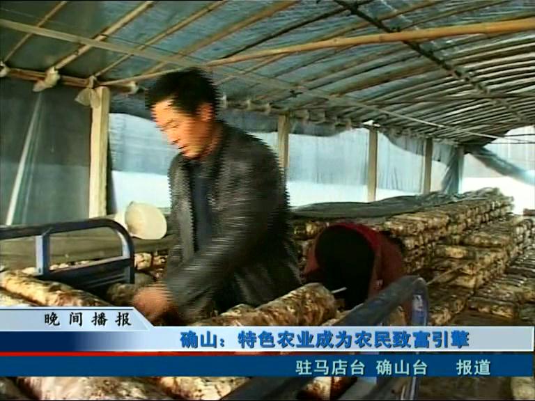 確山：特色農業成為農民致富引擎