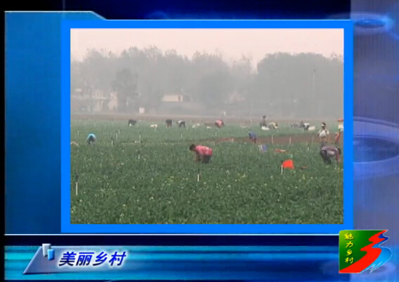 魅力鄉村《108期》
