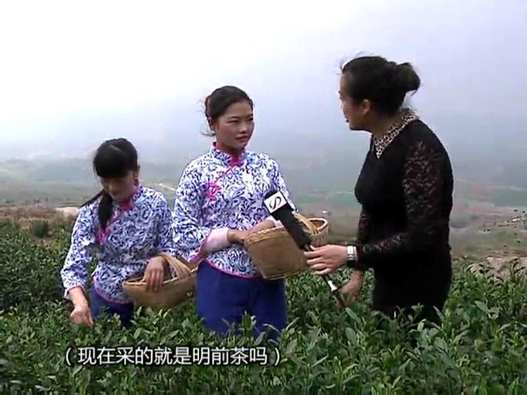 魅力鄉村《128期》