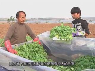 魅力鄉村《131期》